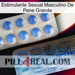 Big Penis Male Sexual Stimulant 40